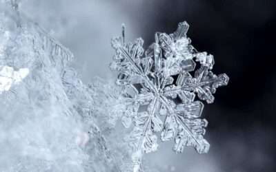 Best Practices of Streamlit in Snowflake
